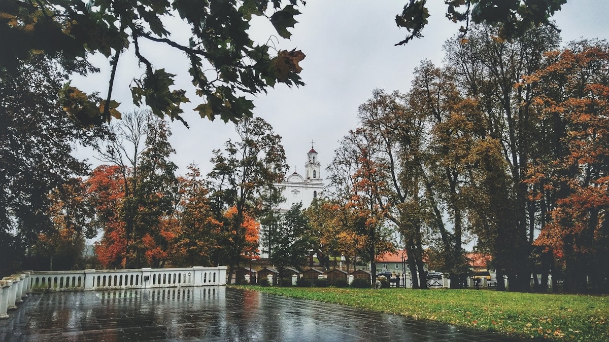 Rainy day 🌧️